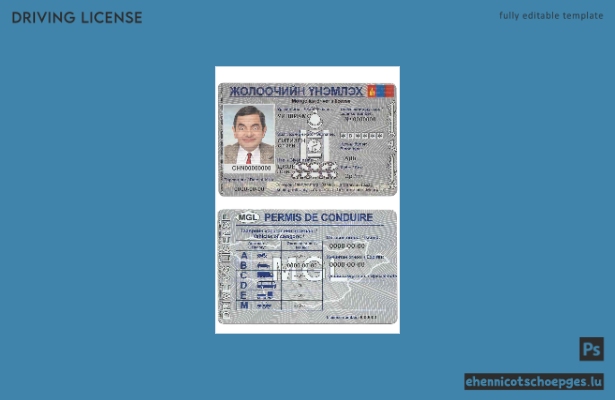 Beispiel für einen mongolischen Führerschein (Vorschau)